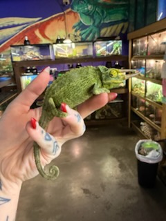 Family owned local pet store in Billings Montana